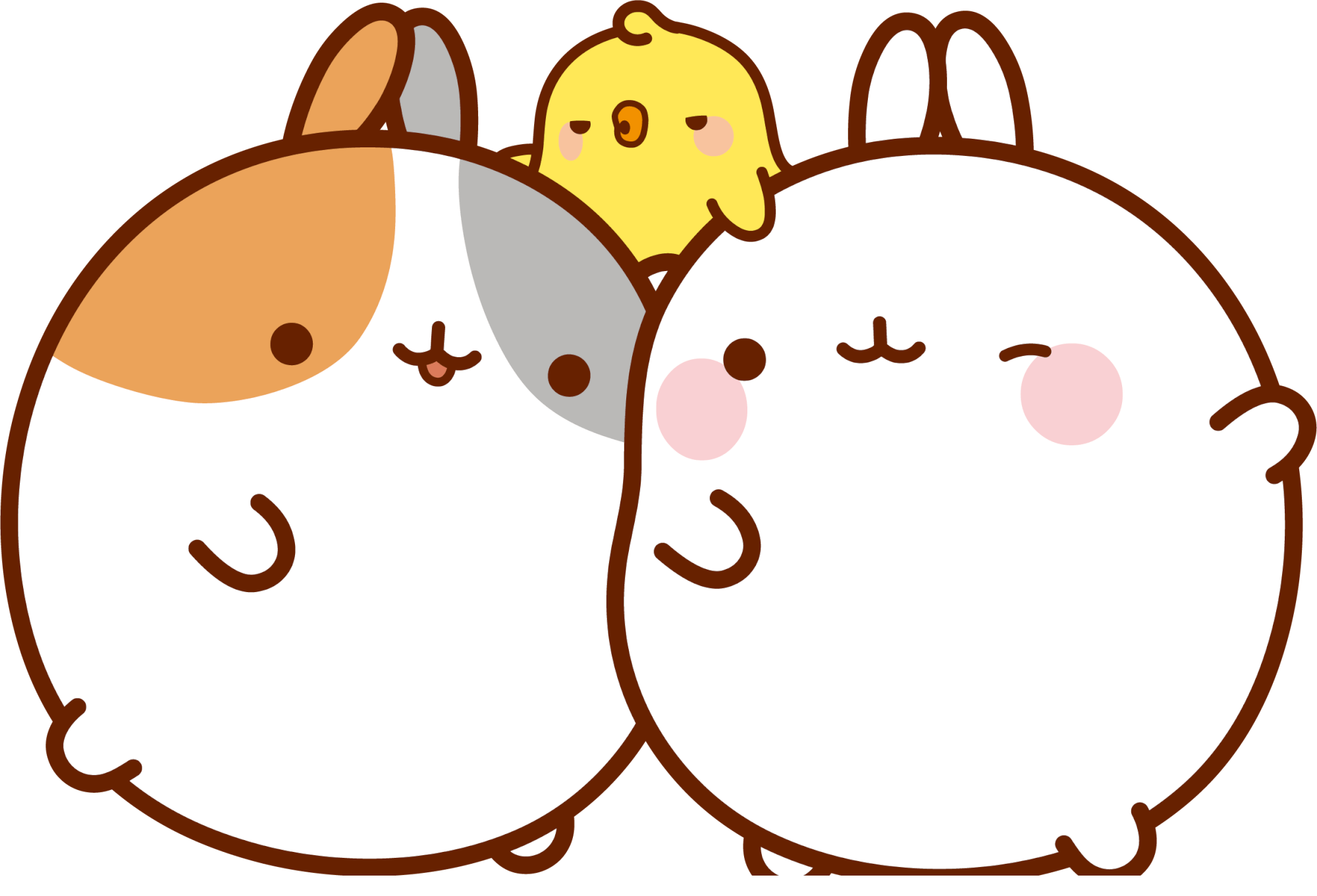 Molang